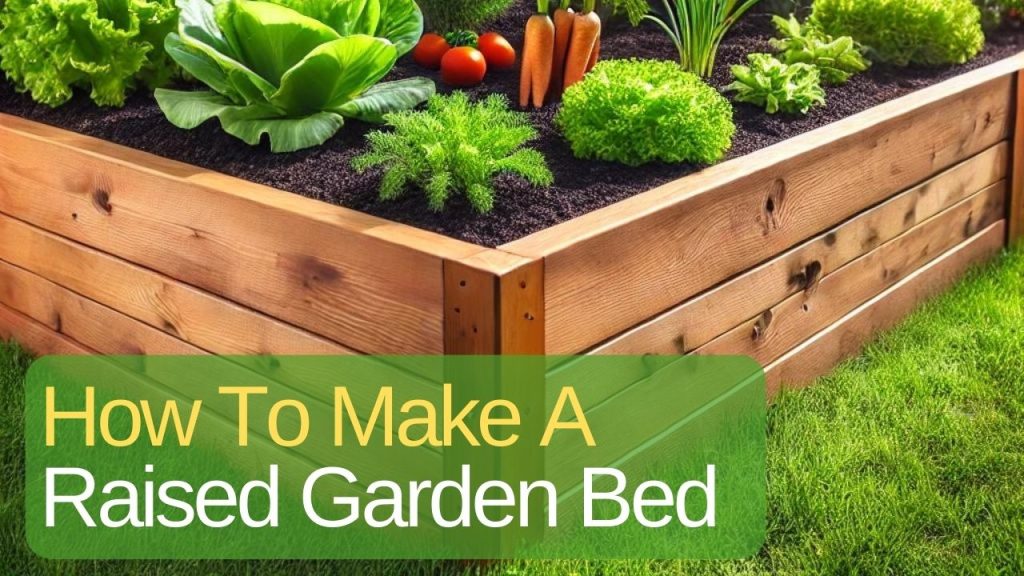 How To Build A Raised Garden Bed
